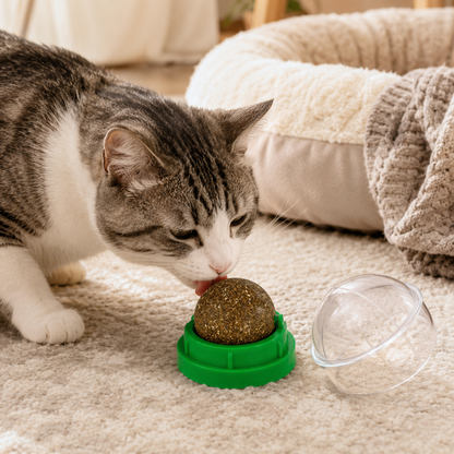 🐾 Catnip Ball Toy | Natural Cat Entertainment | Interactive Pet Play Essential | Everyday Pet Care Helper | Fun Green Design