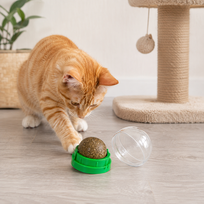 🐾 Catnip Ball Toy | Natural Cat Entertainment | Interactive Pet Play Essential | Everyday Pet Care Helper | Fun Green Design