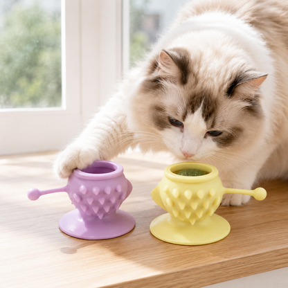🌸 Catnip Lick Toy | Silicone Material | Indoor Cat Entertainment | Pet Gift Essential | Cute Pastel Design