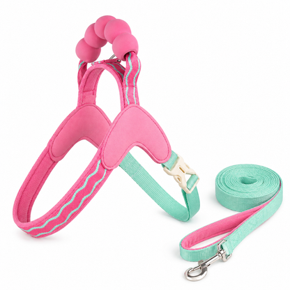 Pet Walking Set | Soft Padded Webbing | Outdoor Adventures | Pet Parent Gift | Candy Color Style