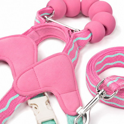 Pet Walking Set | Soft Padded Webbing | Outdoor Adventures | Pet Parent Gift | Candy Color Style