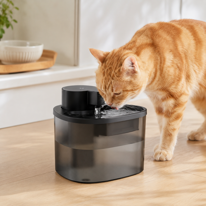 🖤 Pet Fountain | Sleek Filtered Water Flow | Modern Hydration Essential